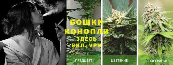 ГАЛЛЮЦИНОГЕННЫЕ ГРИБЫ Володарск