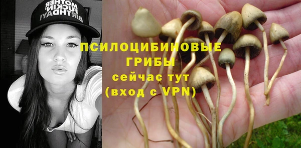 ГАЛЛЮЦИНОГЕННЫЕ ГРИБЫ Володарск