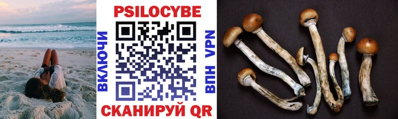 Галлюциногенные грибы ЛСД  Кимры 